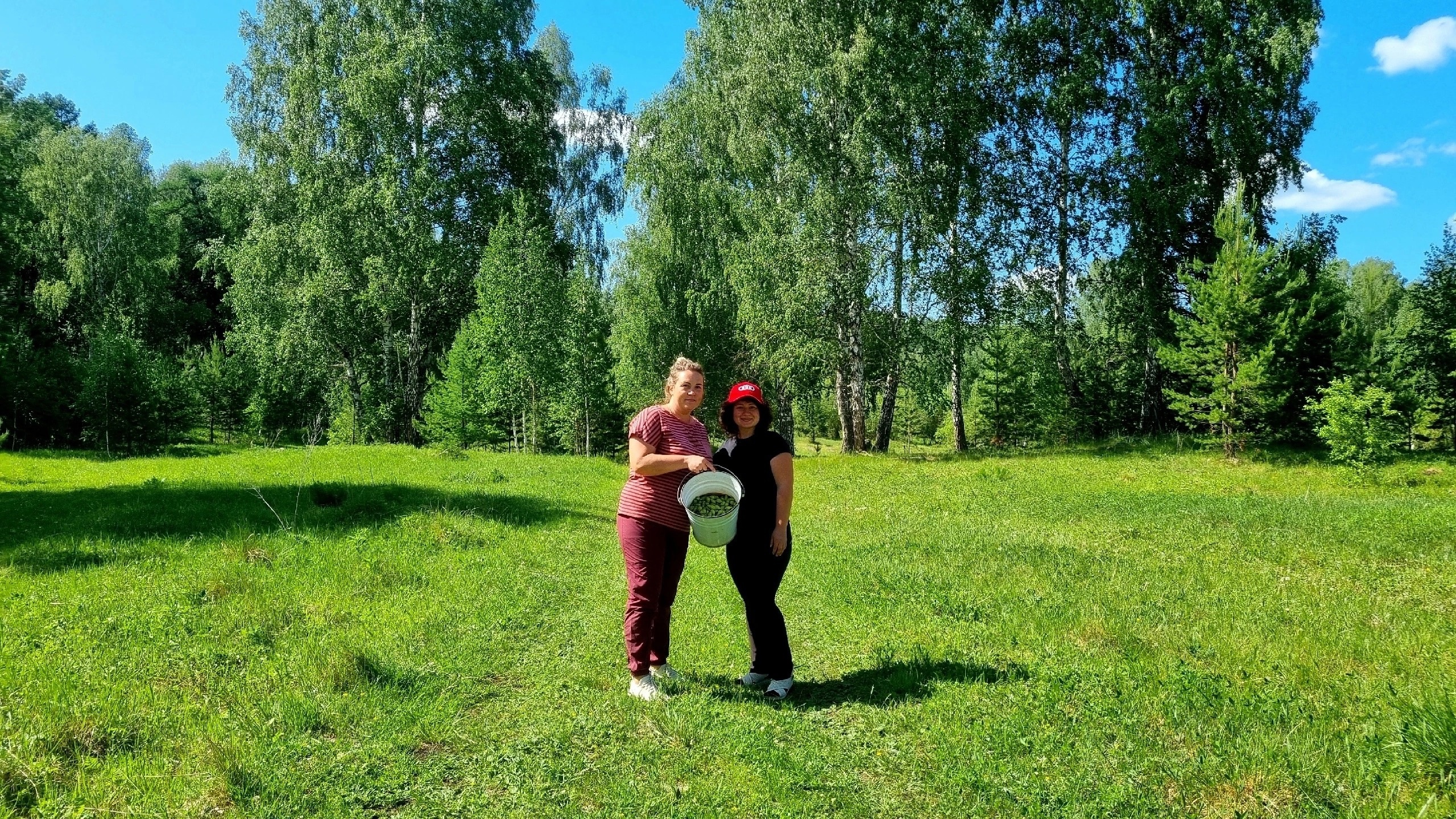 За травами